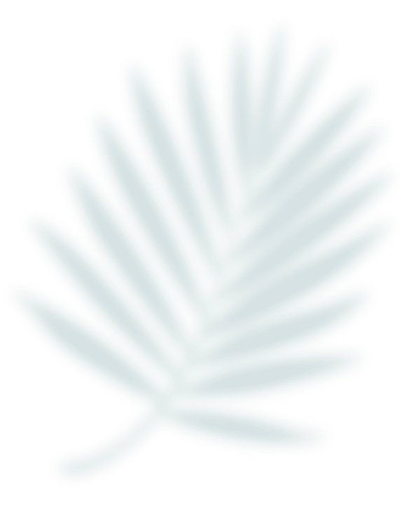 Highlight Message Decorative Image